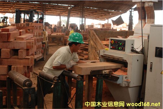 ���P̴ ���ᶹ