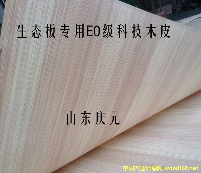 �h���Ƽ�ľƤ��Ԕ����B