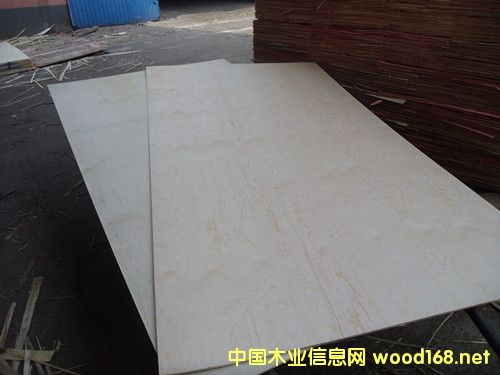 ��ľ��Ԕ����B