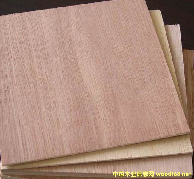 ��¡ľ��Ԕ����B