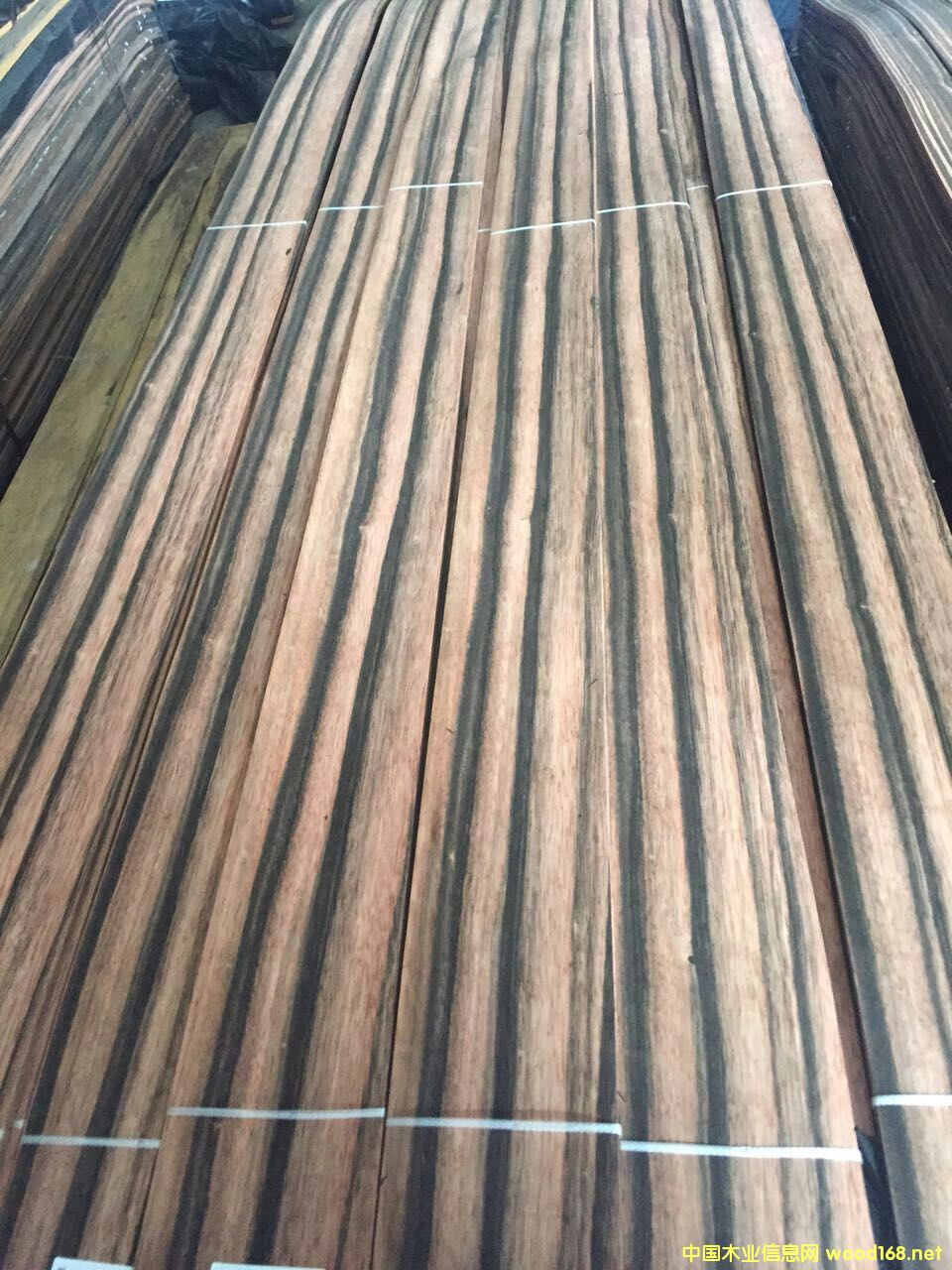 ��̴B��AMARA��