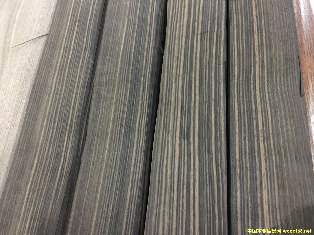 ��̴A��Macassar��