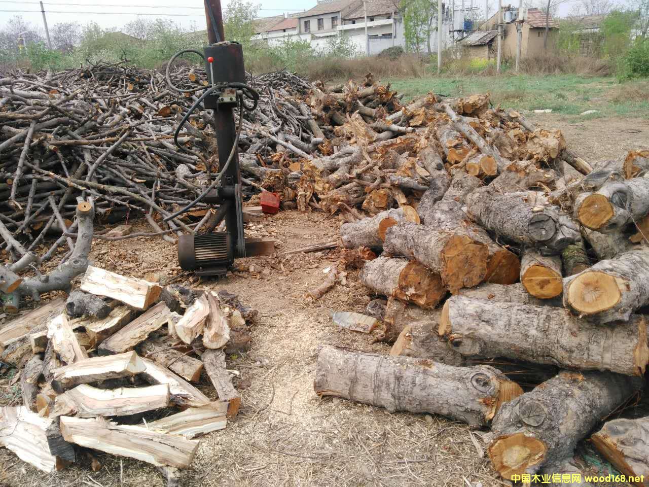 �c���鿴��ľ����Ŵ�DƬ