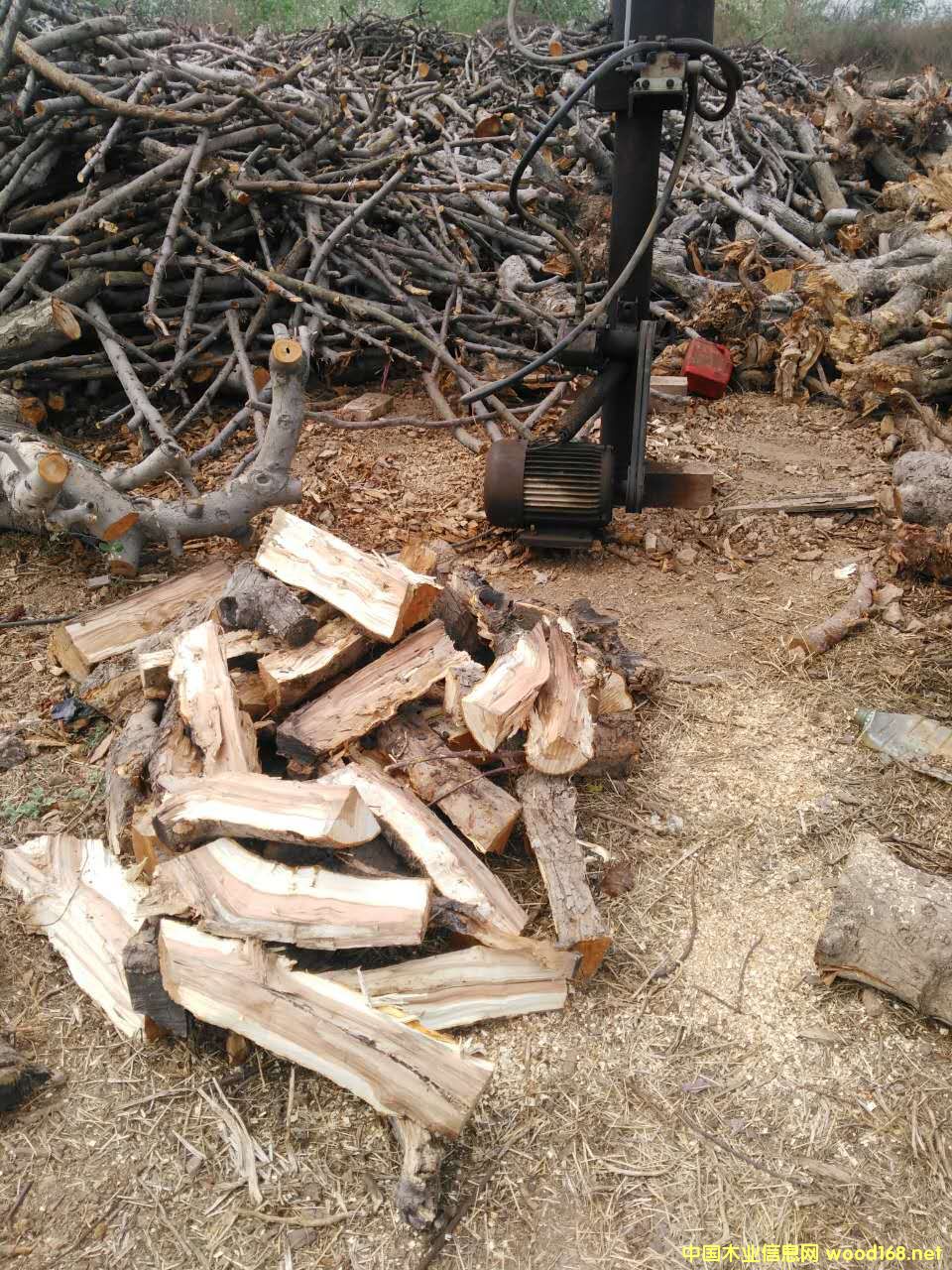 �c���鿴��������Ŵ�DƬ