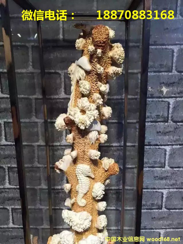 �°ظ����Ԕ����B