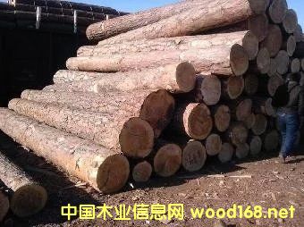 �����ɵ�Ԕ��(x��)��B