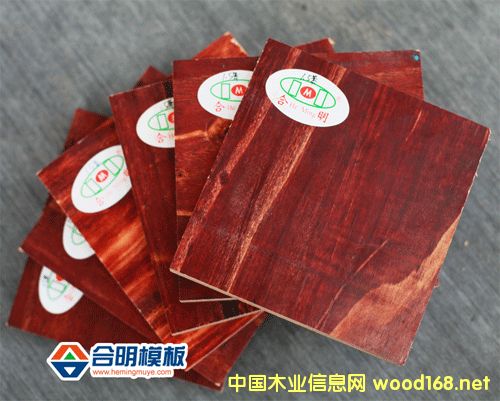 ������ȩģ��