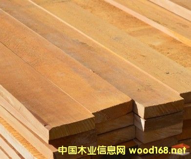 �������_˹����ľ