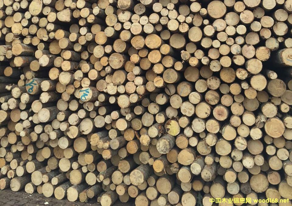 ����С�U��Ԕ����B