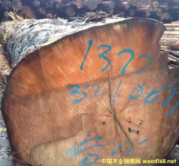 �M�ڼ��ô��Fɼ������ԭľ��Ԕ����B