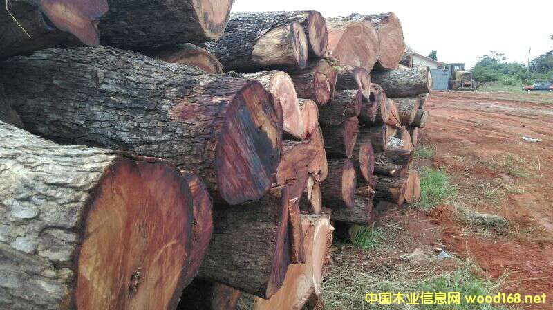 �Ϸ�ľ�ĵ�Ԕ����B