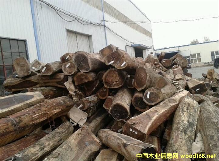 �c���鿴����ľ�Ŵ�DƬ