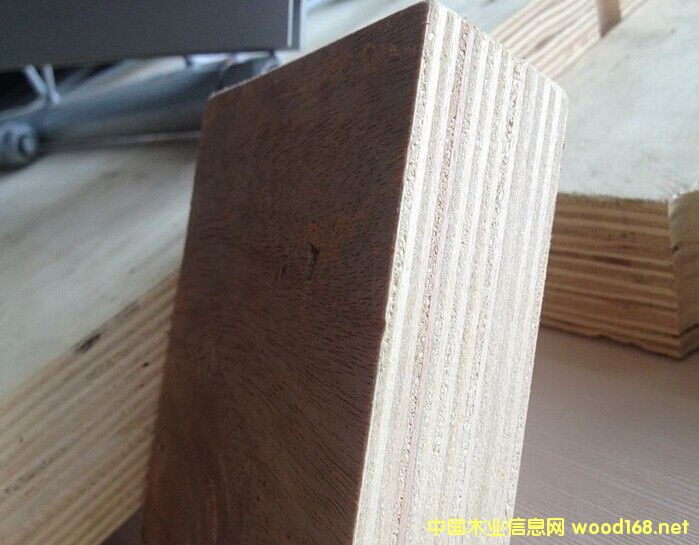 �c���鿴�Ӻ���Ƥ�z�ϰ塢����40mm�Ҿ߼��ð�ķŴ�DƬ