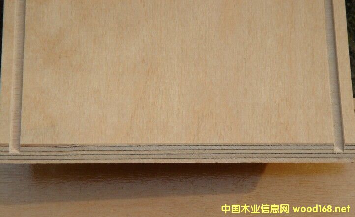 �c���鿴WBP��ˮ�ذ���ķŴ�DƬ