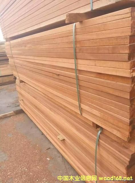 �c(di��n)���鿴ɽ��ľ1�Ŵ�DƬ