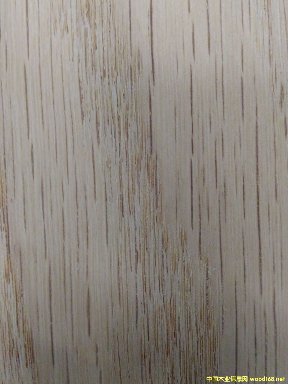 �t��ľ��Ԕ����B