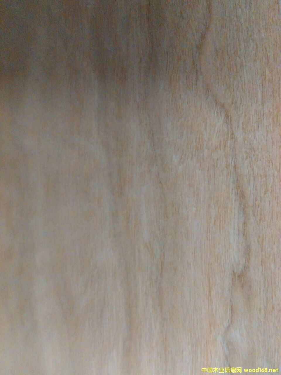 ����ľ��Ԕ����B