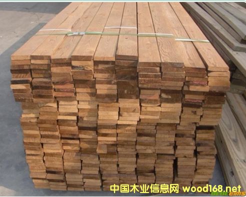 �c���鿴���������̼��ľ�Ŵ�DƬ