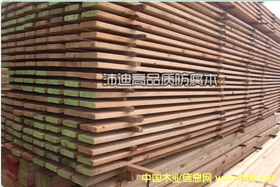 �c���鿴���ɱ���̼��ľ�Ŵ�DƬ