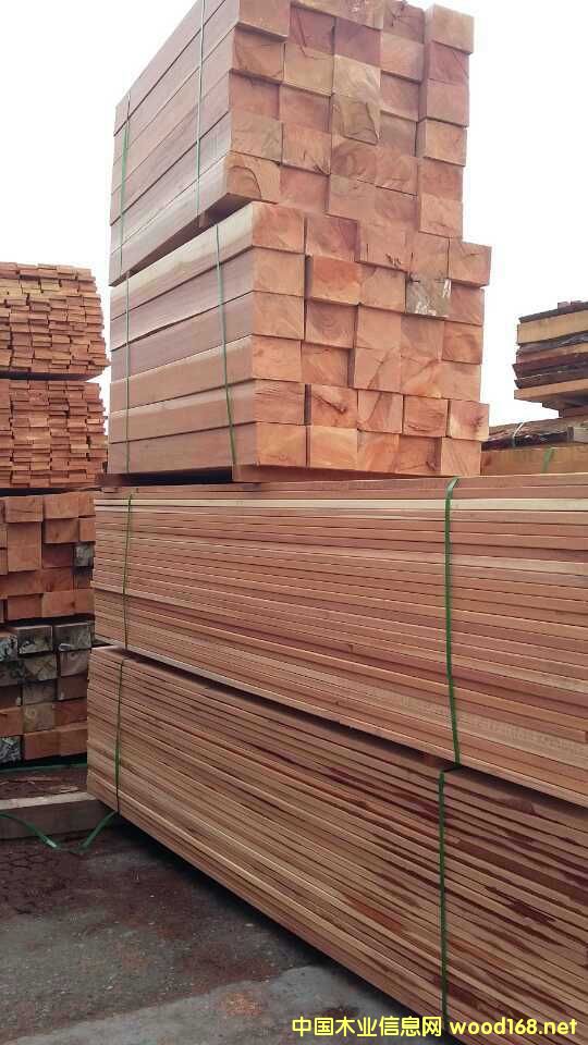 ����ľ��Ԕ��(x��)��B