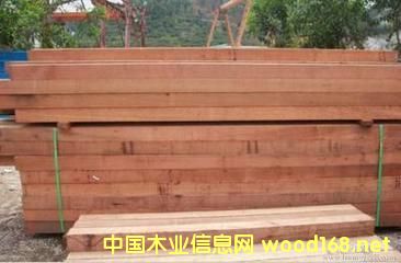 �tѩ�ɵ�Ԕ��(x��)��B