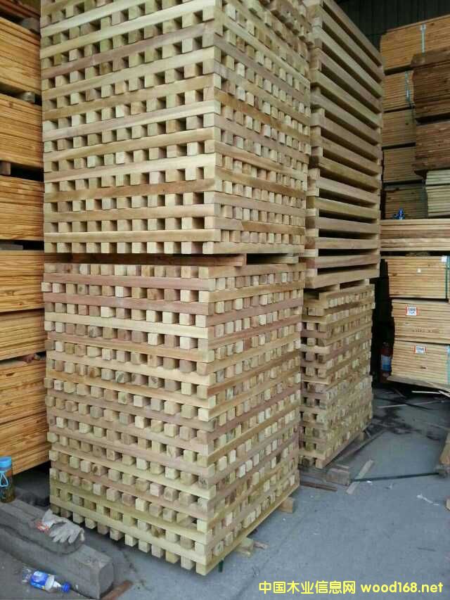 �˹�ľ��Ԕ����B