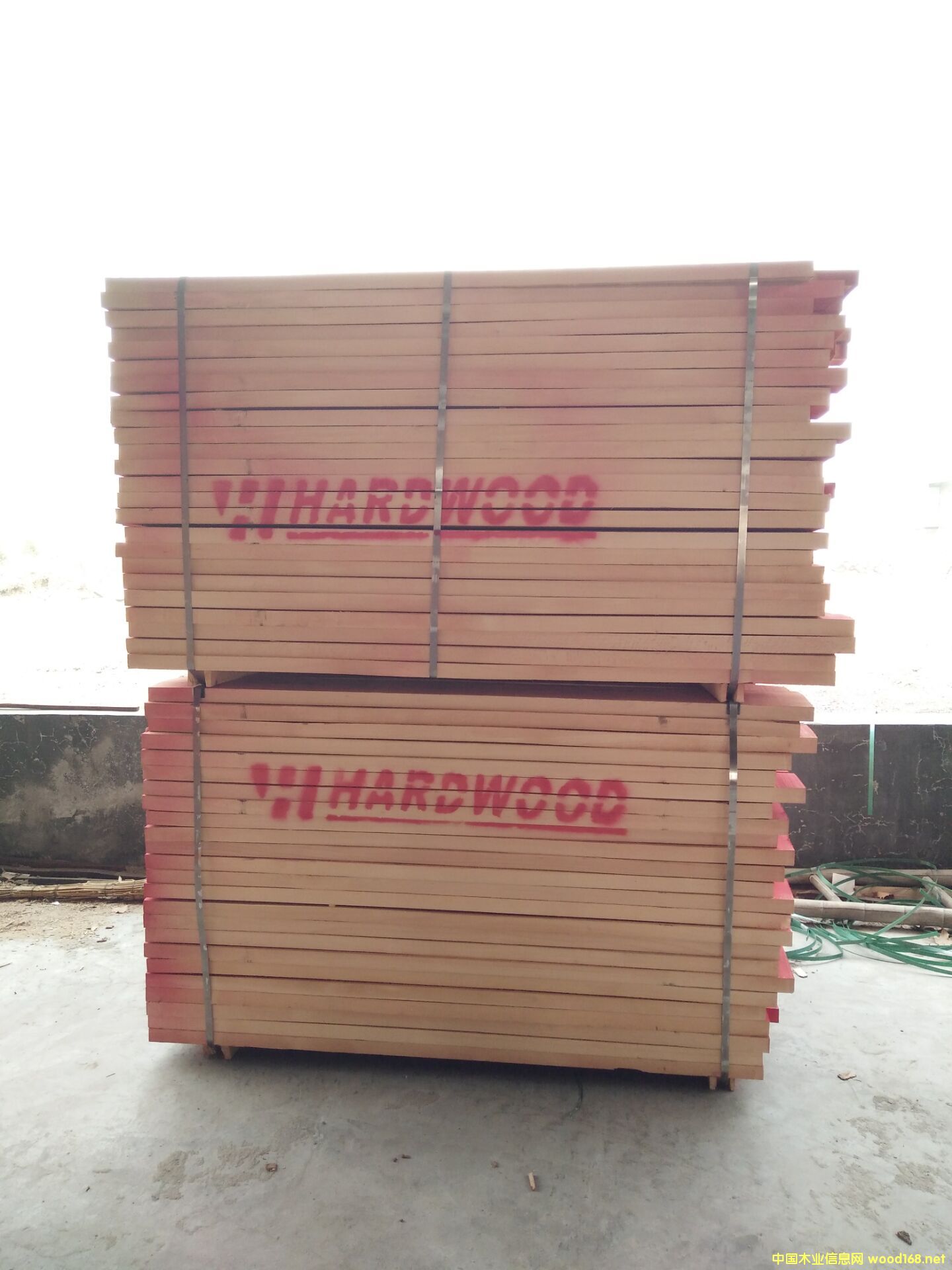 �_�R�၆��ľ��Ԕ����B