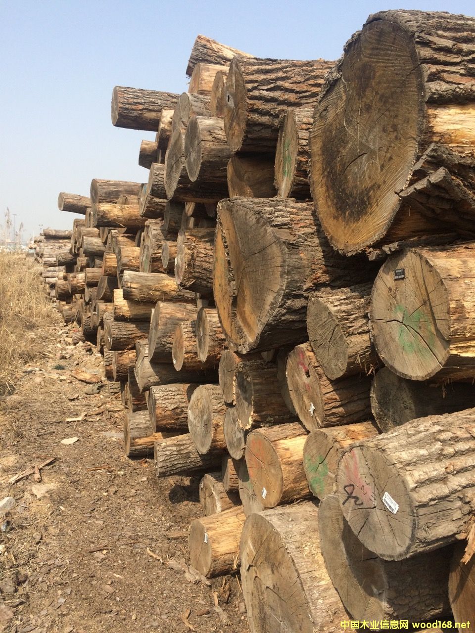 �W����ľ��Ԕ����B