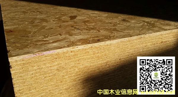 �c(di��n)���鿴ɭ��OSB�Ŵ�DƬ