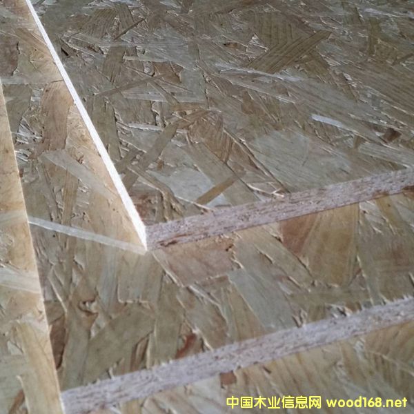 �c(di��n)���鿴ɭ���W�ɰ�Ŵ�DƬ