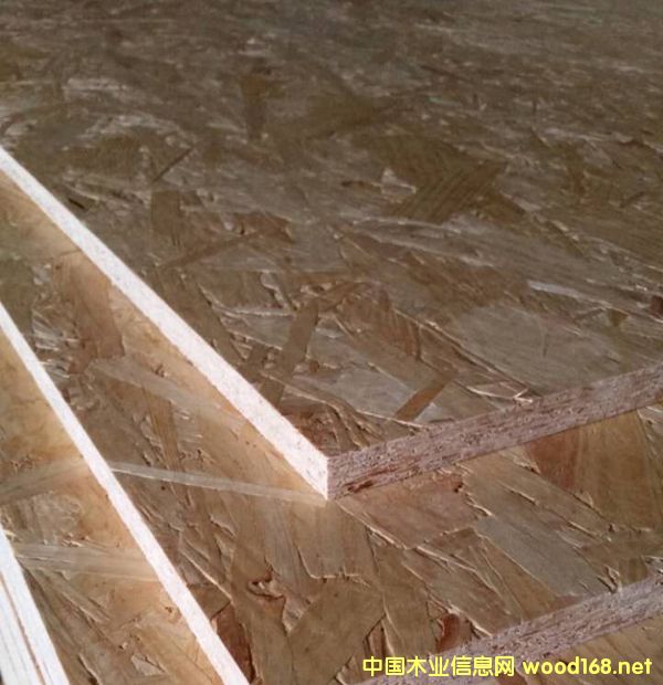 �c(di��n)���鿴ɭ���W�ɰ�Ŵ�DƬ