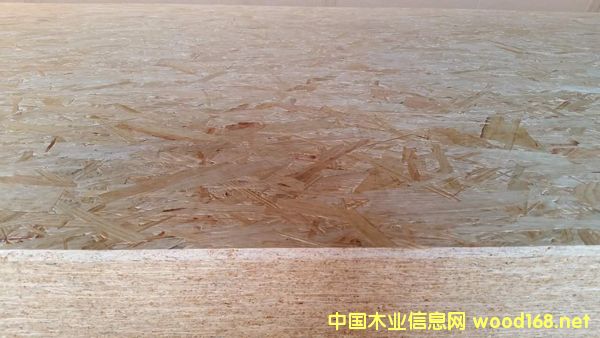 �c(di��n)���鿴ɭ��OSB�Ŵ�DƬ