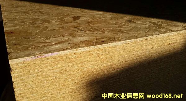 �c(di��n)���鿴ɭ��OSB�Ŵ�DƬ