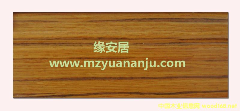 8501�Ƽ�ľƤˇ�g���_��