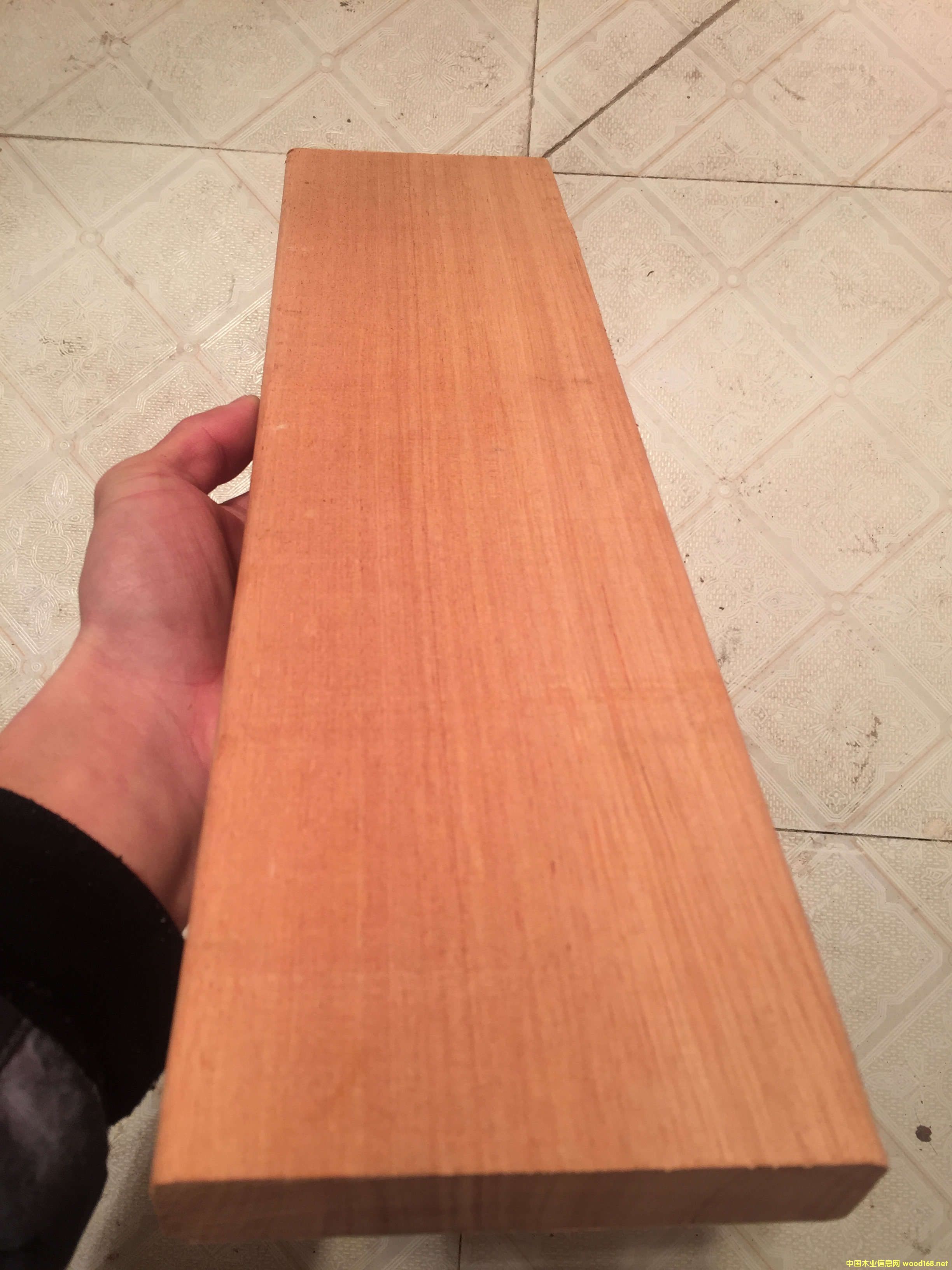 ��ľ��Ԕ����B