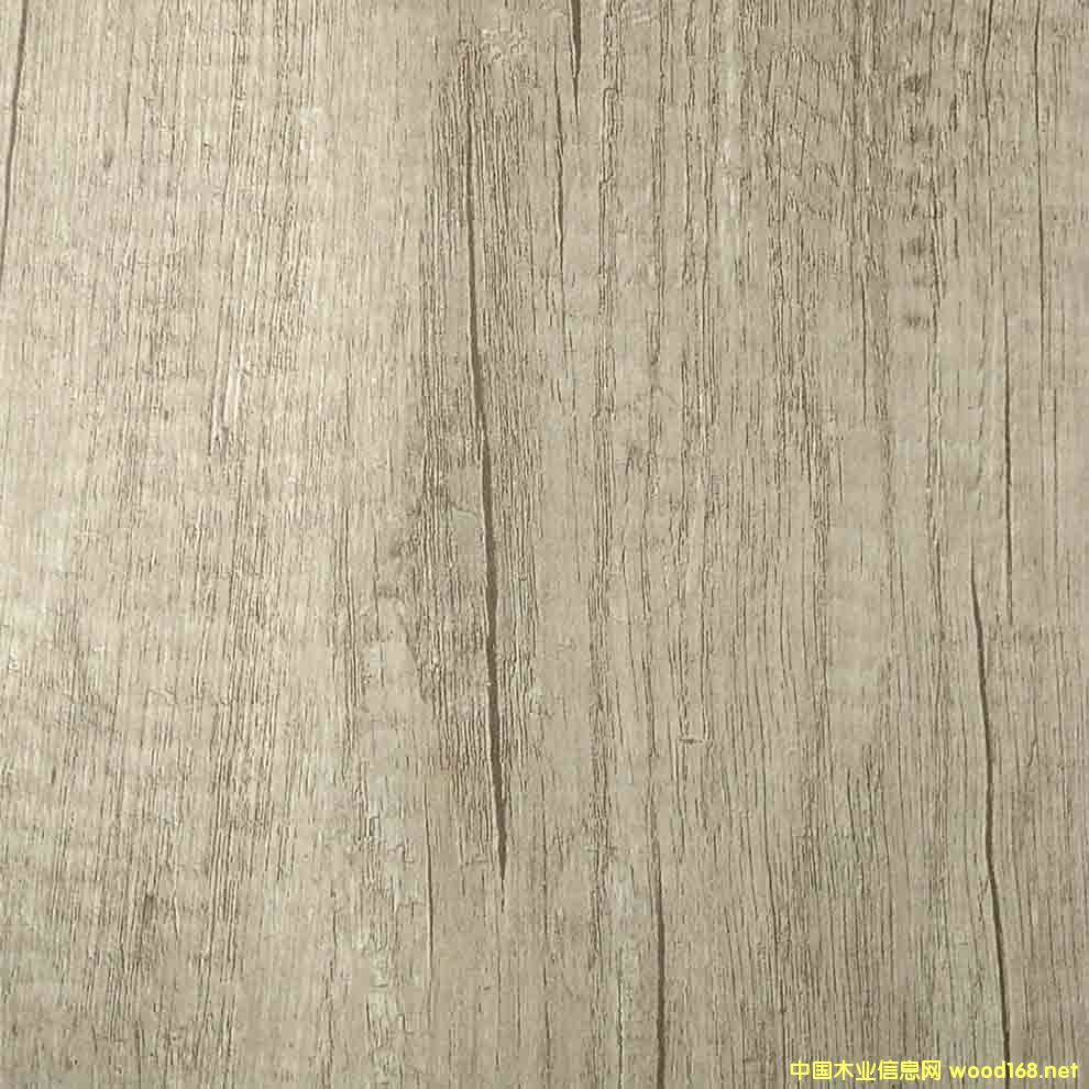 �߶˟oȩ��ľ���