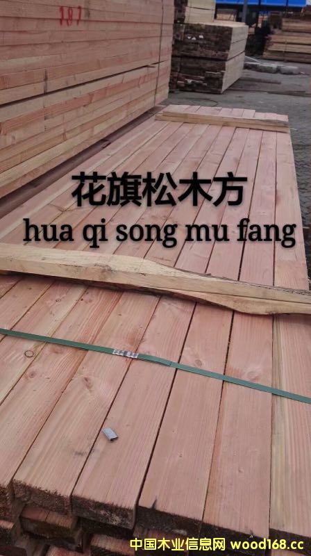 ������ľ��