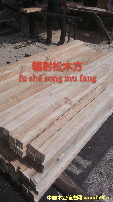 ݗ����ľ��