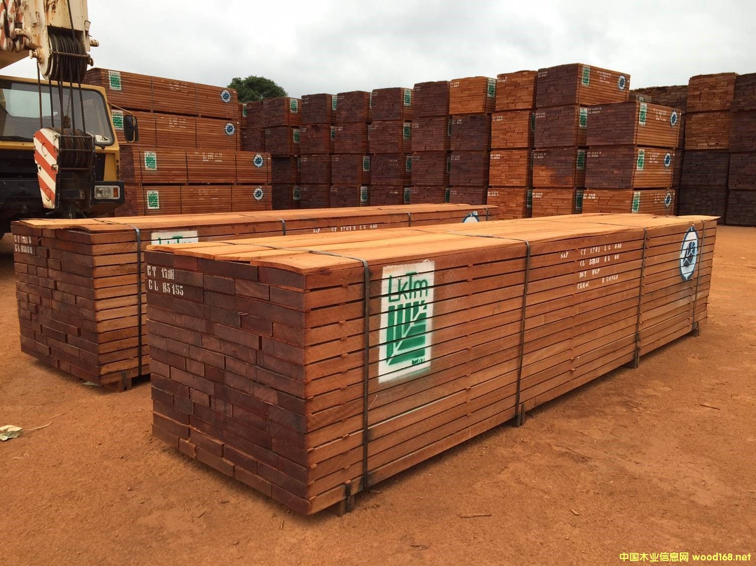 ����ɳ������Ԕ����B