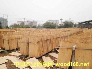 ��ľ�Aо��Ԕ����B