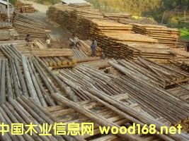 ɼ���Ԕ����B