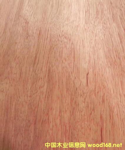 ���ǹ���Ԕ����B