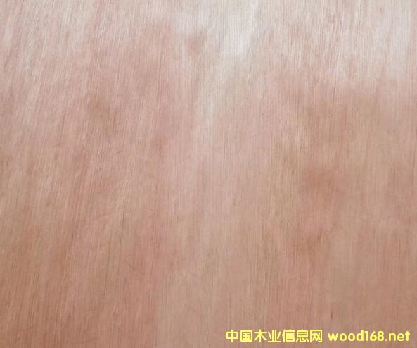 ���_����Ԕ����B