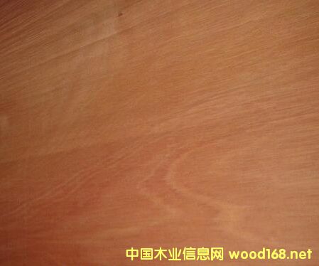 �U�P�ص�Ԕ����B