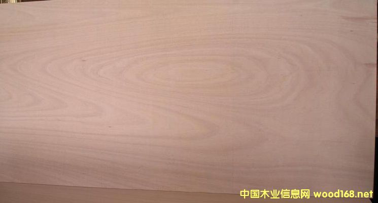 ���棨�һ�о��