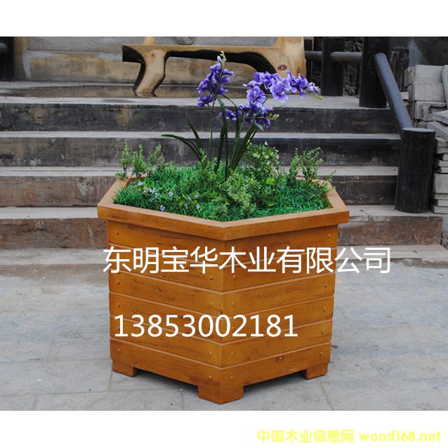 ����ľ����