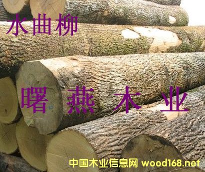 ˮ����ԭľ����ģ�ľ��