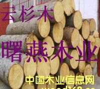 ���ô���ɼľԭľ