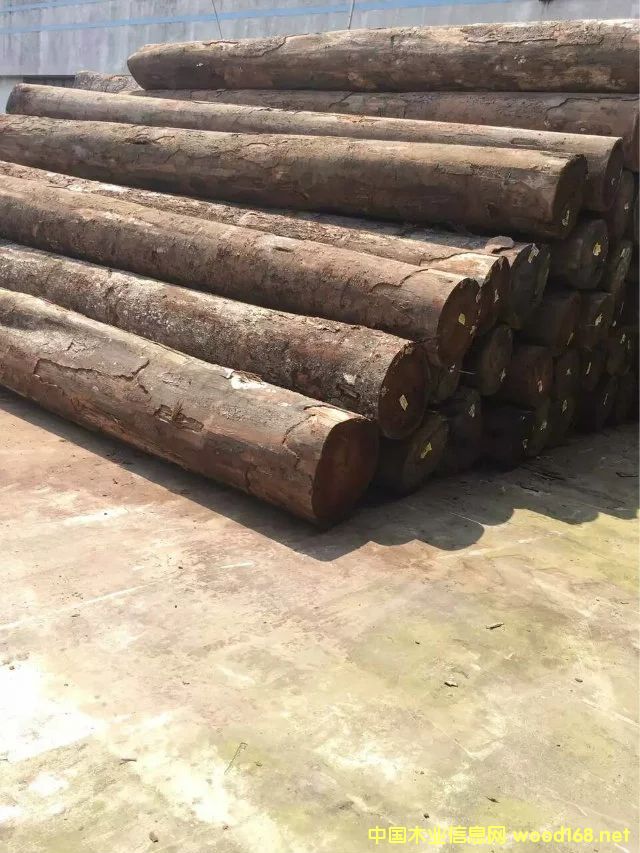 ���}��ԭľ��Ԕ����B