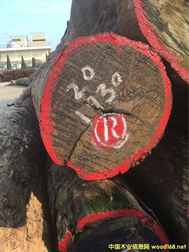 �M��ԭľ��Ԕ����B